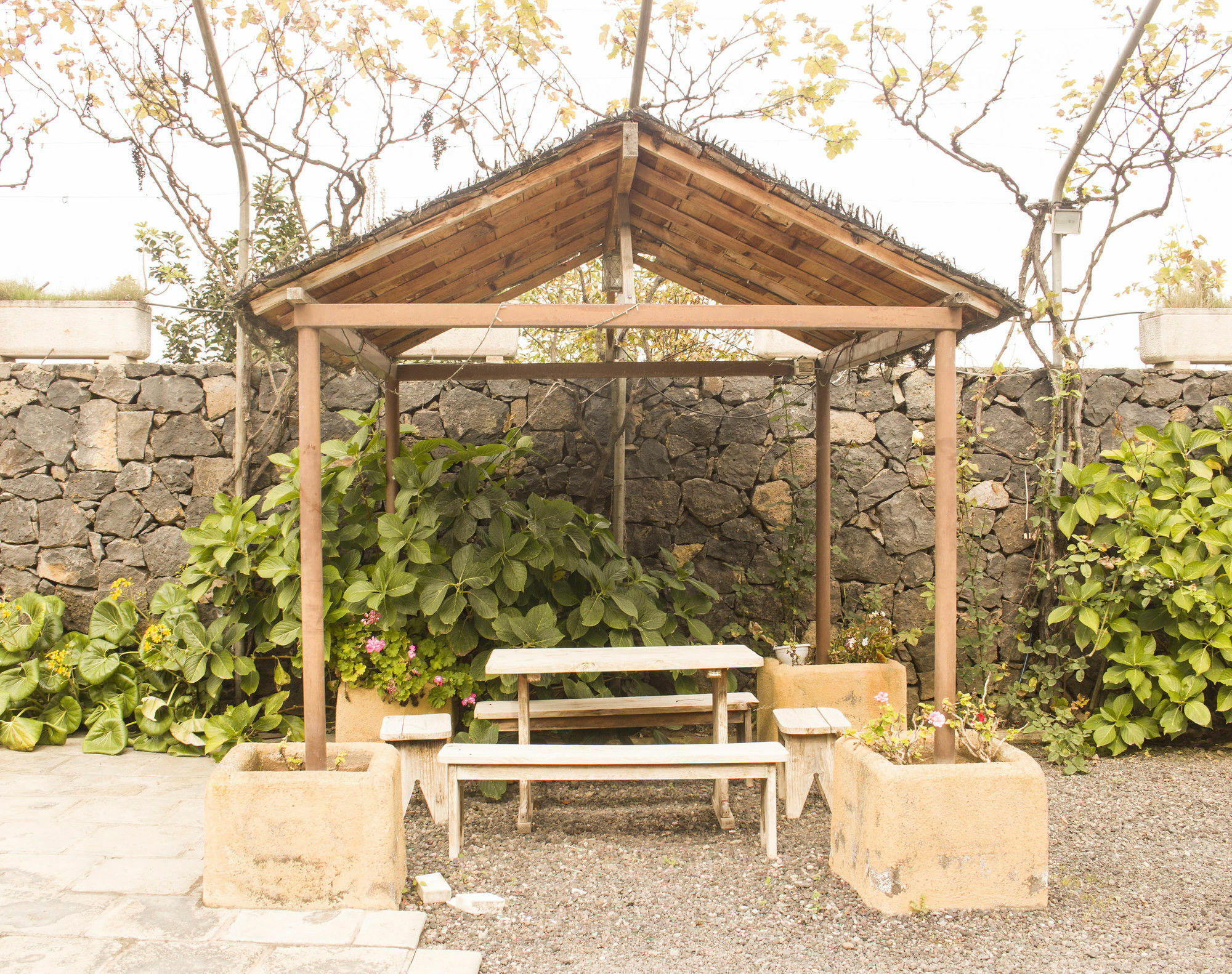 Casa Rural La Tanquera Los Realejos Buitenkant foto