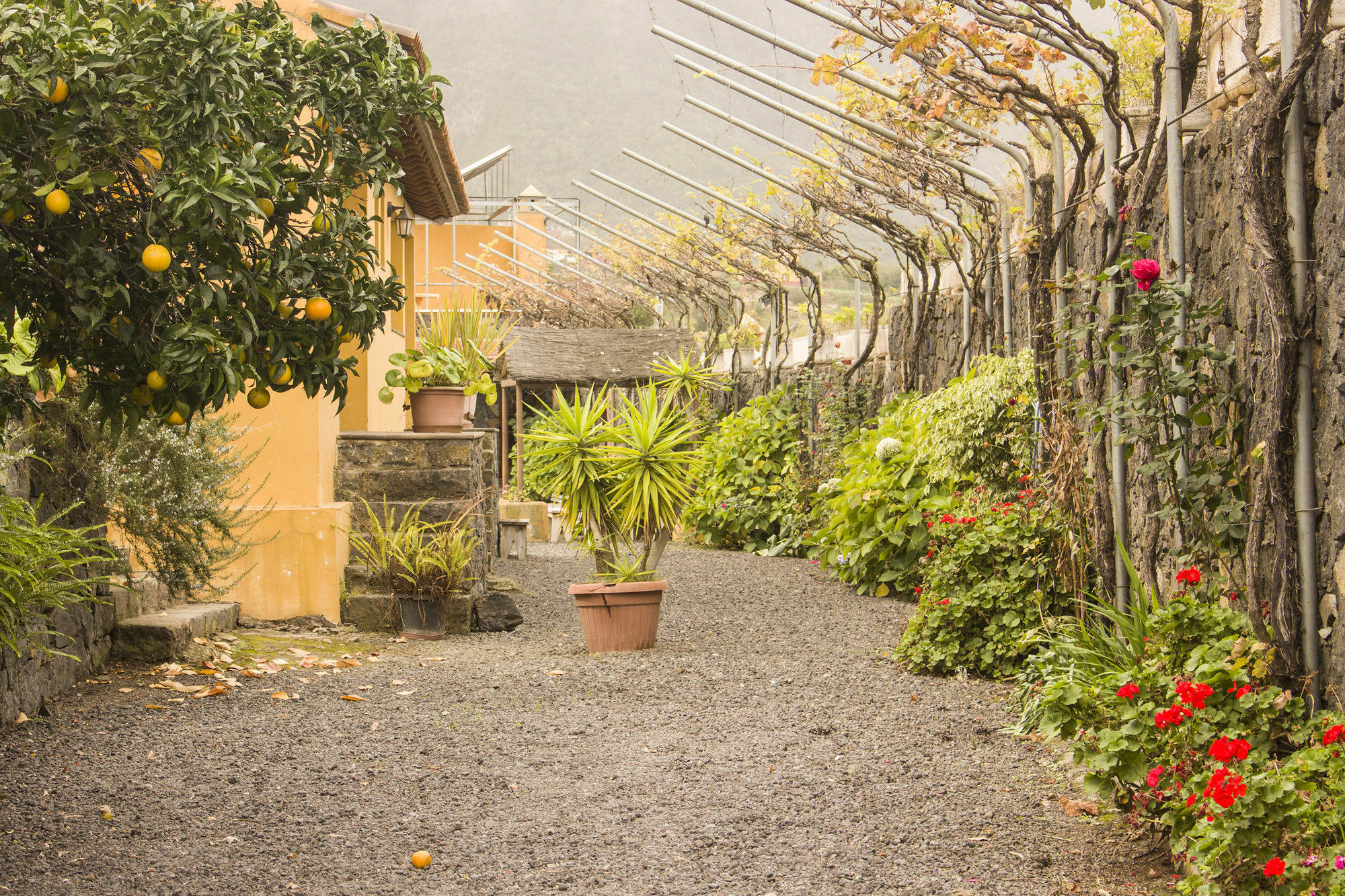 Casa Rural La Tanquera Los Realejos Buitenkant foto